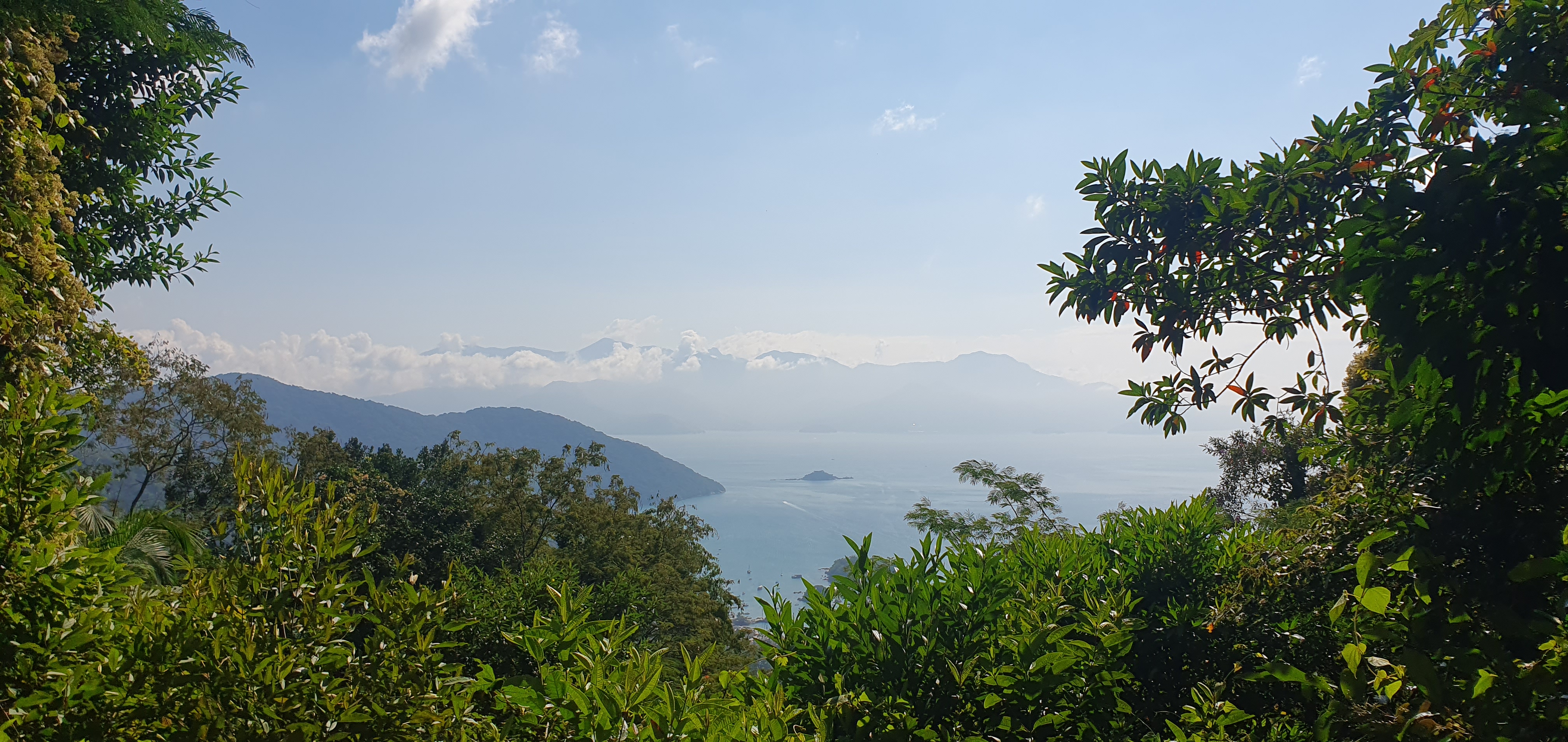 Vue mer depuis la fôret