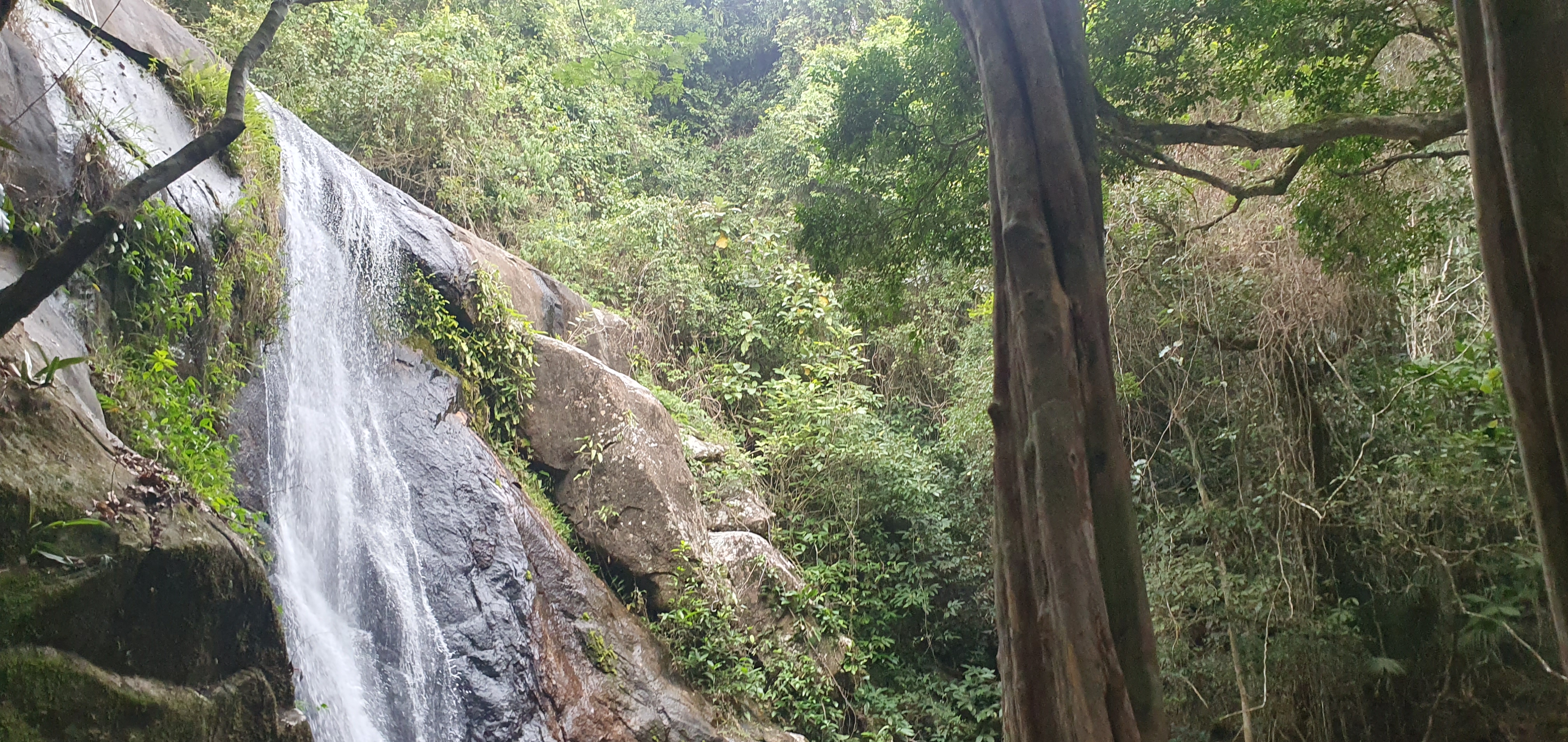 Cascade