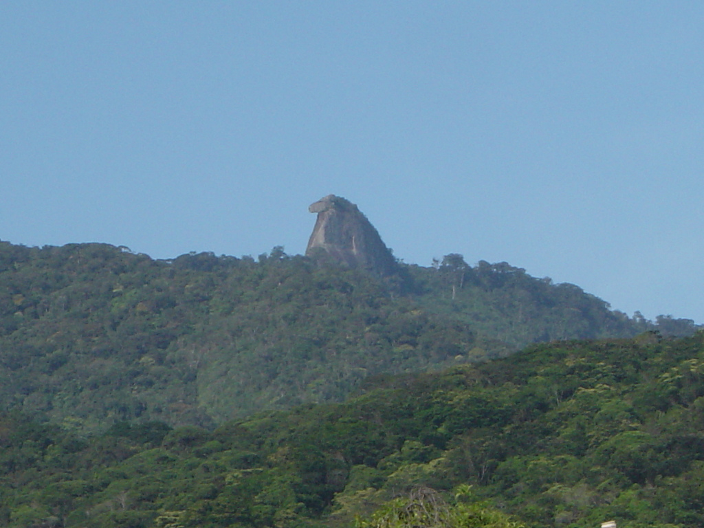 Pico de Papagaio