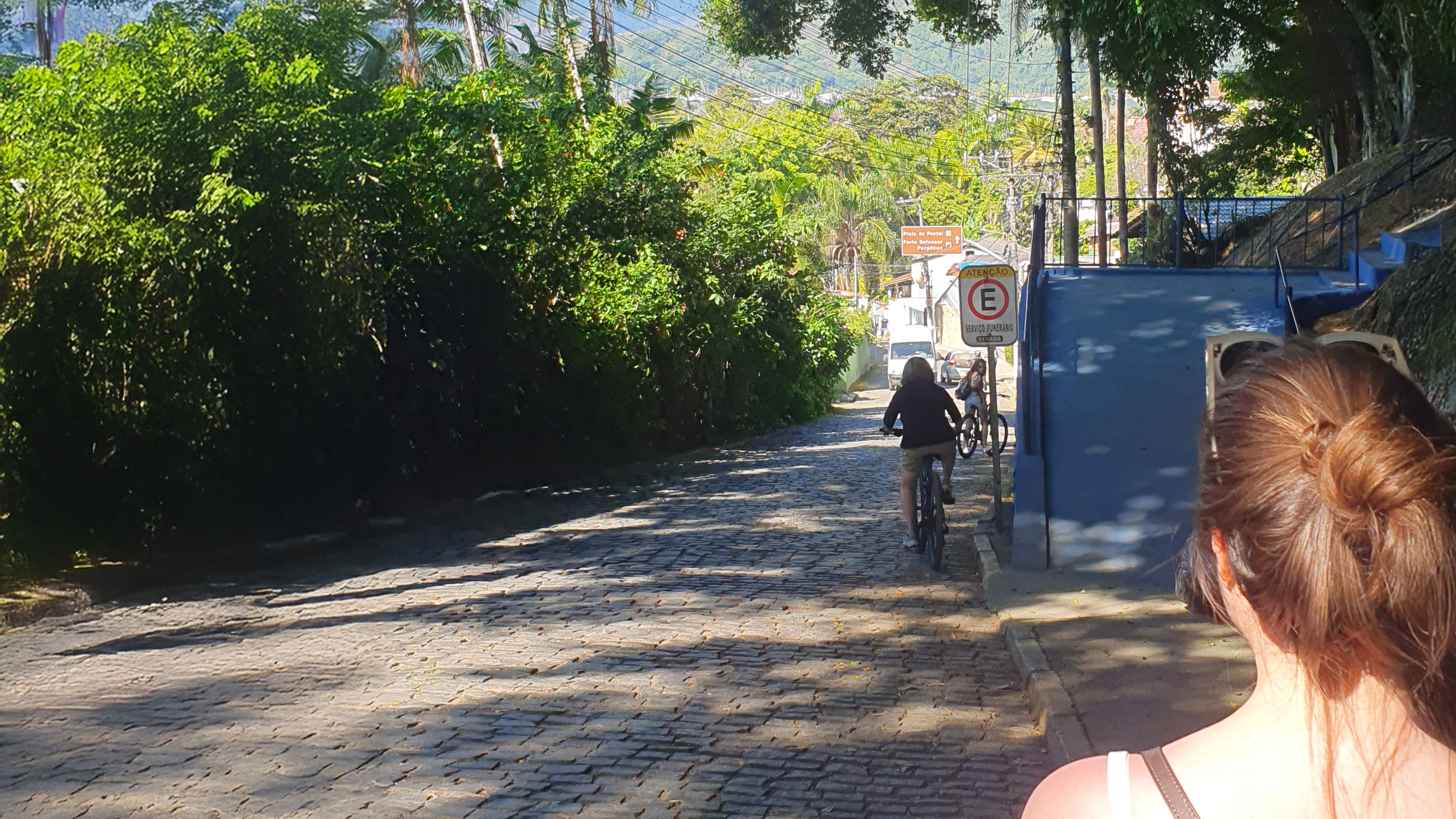 Une rue pavée en pente avec végétation desnse aux alentours