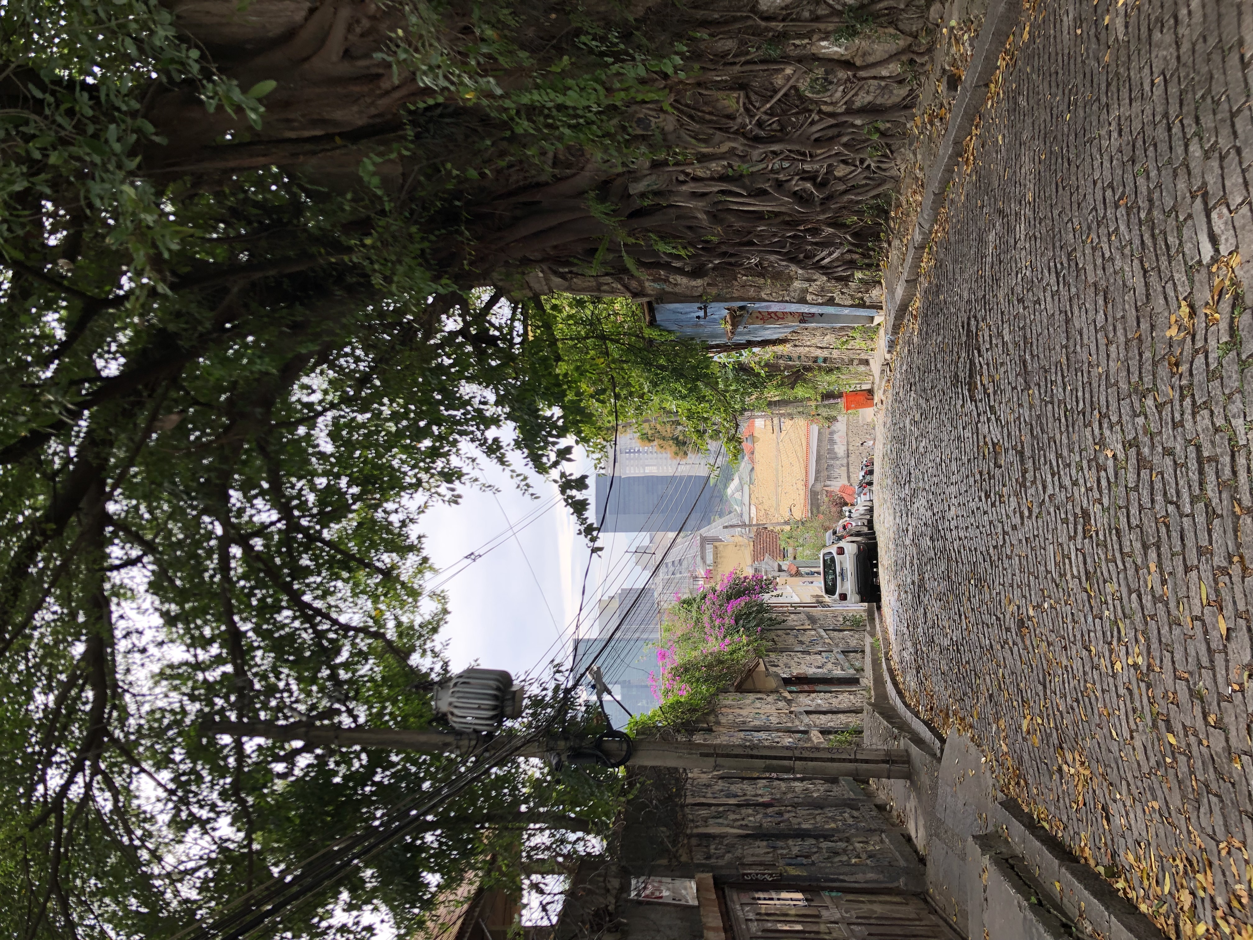 Rue vide à Santa Teresa