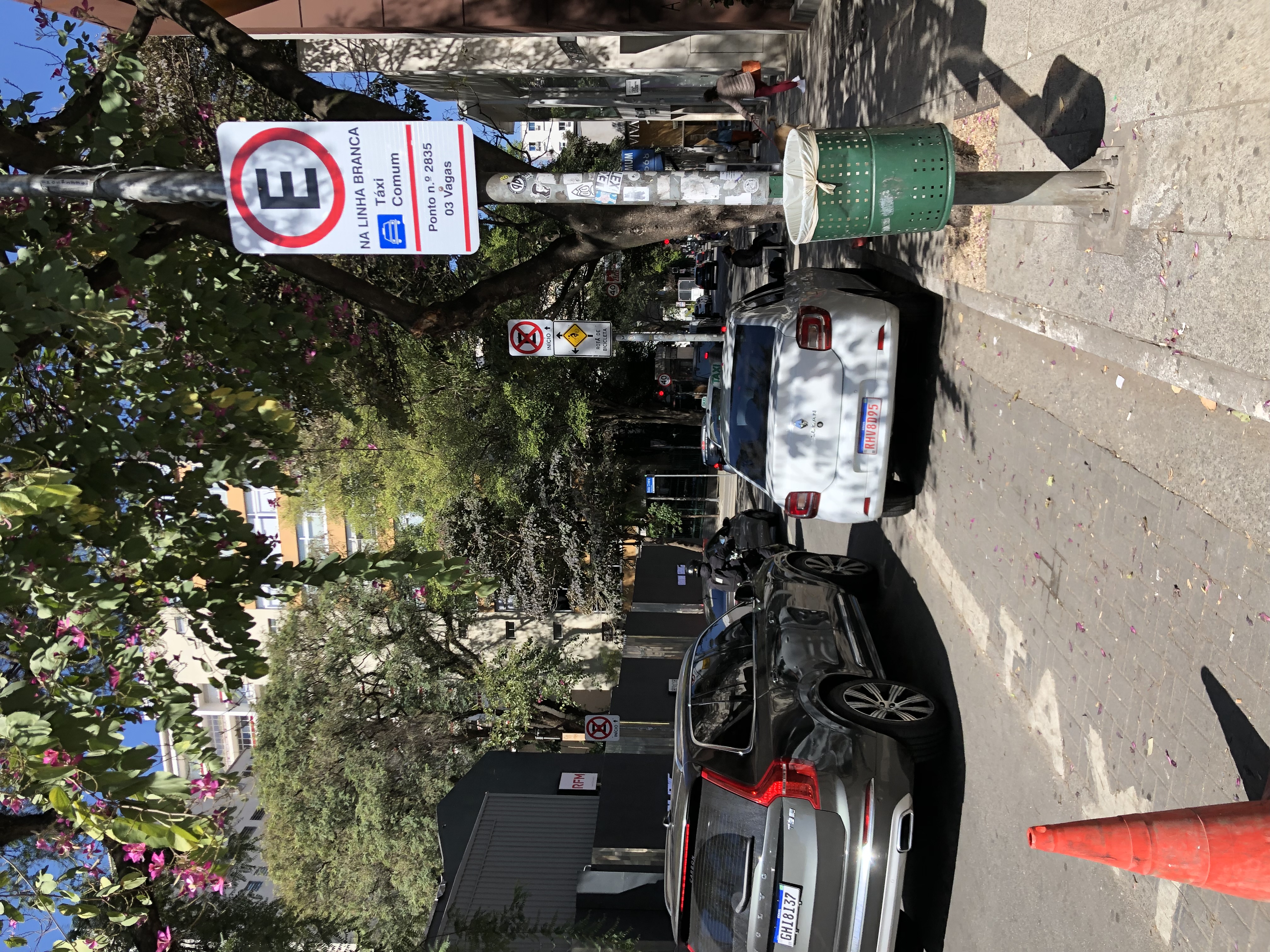 Avenue Oscar Freire