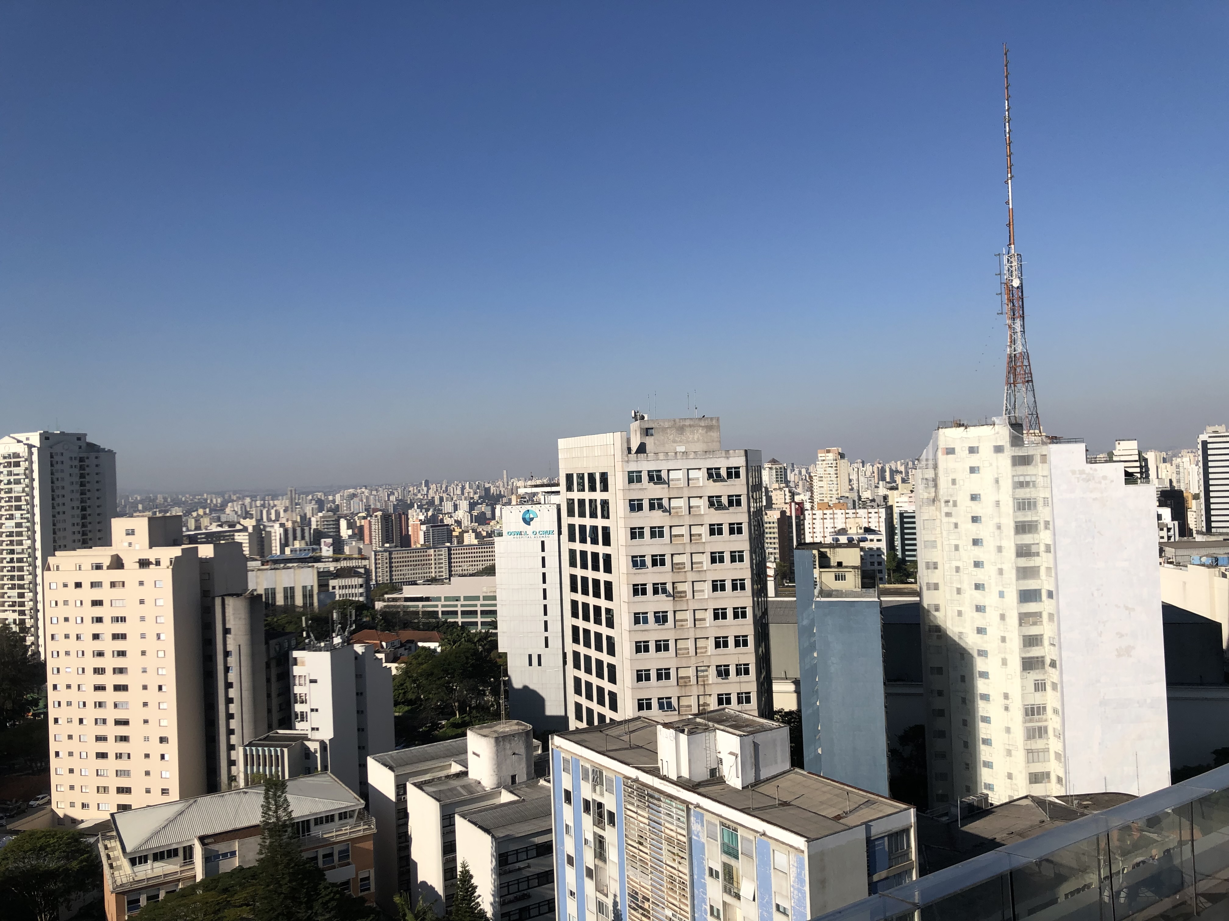 Jungle de béton